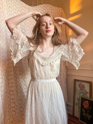 1910s Netting Swiss Dot Dress Sheer Mesh Net Gown Flutter Sleeves