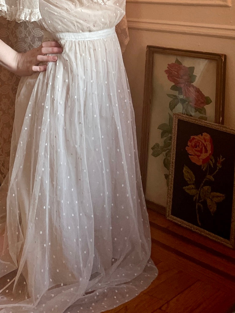 1910s Netting Swiss Dot Dress Sheer Mesh Net Gown Flutter Sleeves