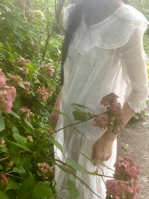 1910s White Sheer SIlk Organza Dress Collar