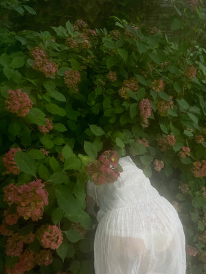 1910s White Sheer SIlk Organza Dress Collar