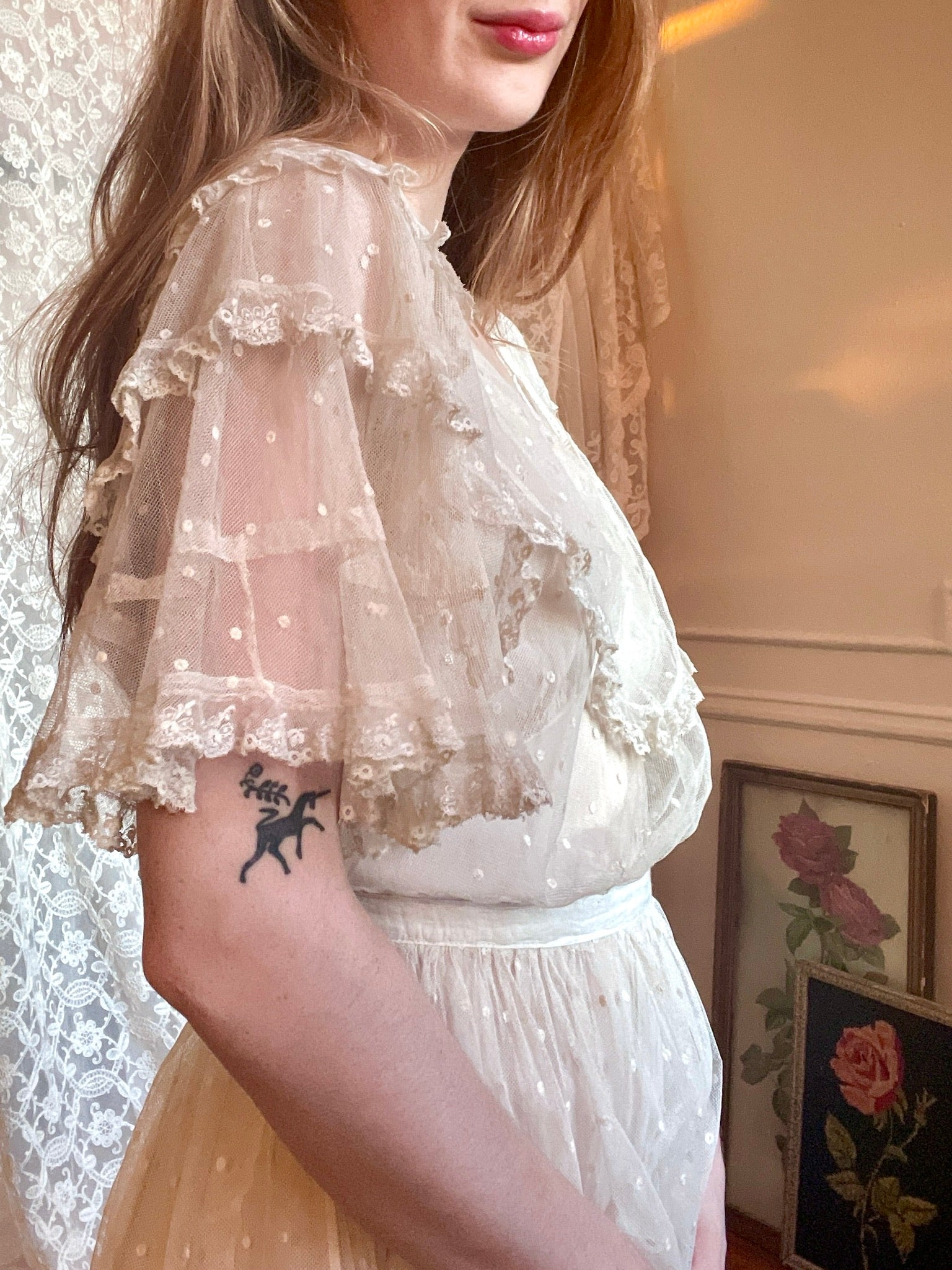 1910s Netting Swiss Dot Dress Sheer Mesh Net Gown Flutter Sleeves
