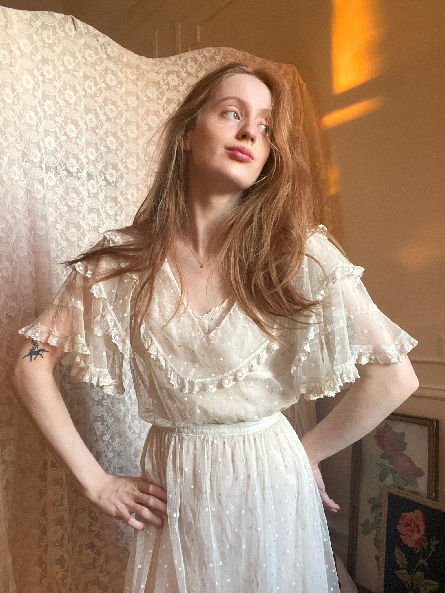 1910s Netting Swiss Dot Dress Sheer Mesh Net Gown Flutter Sleeves