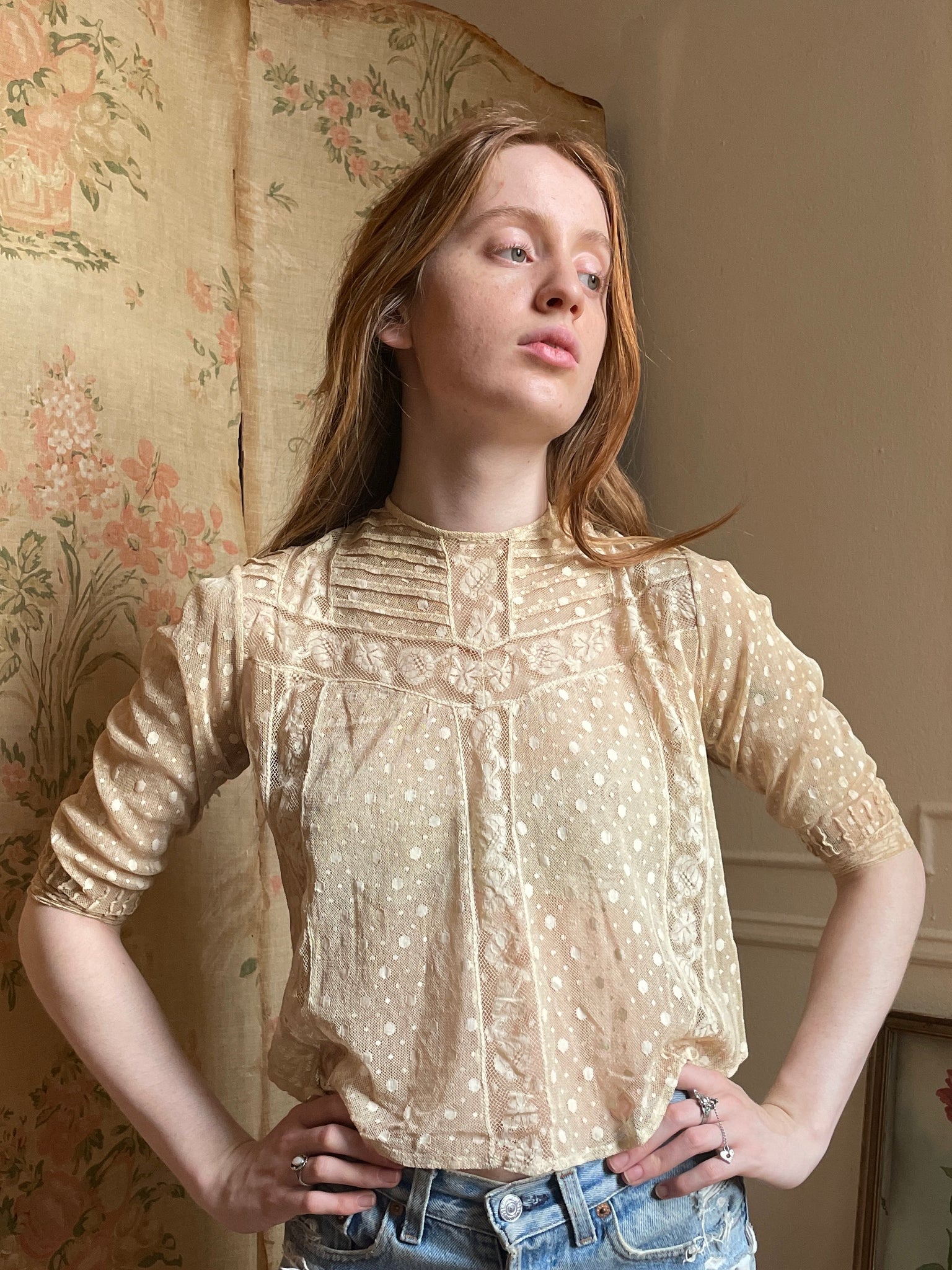 Edwardian Cream Floral Lace Dotted Mesh Blouse